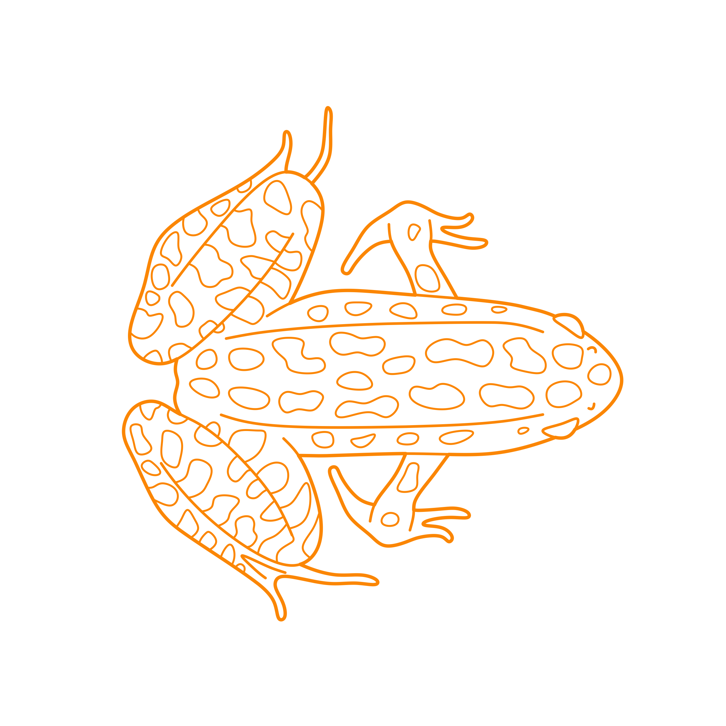 Animals Frogs Northern Leopard Frog Sketch Svg Vector Free Vectors